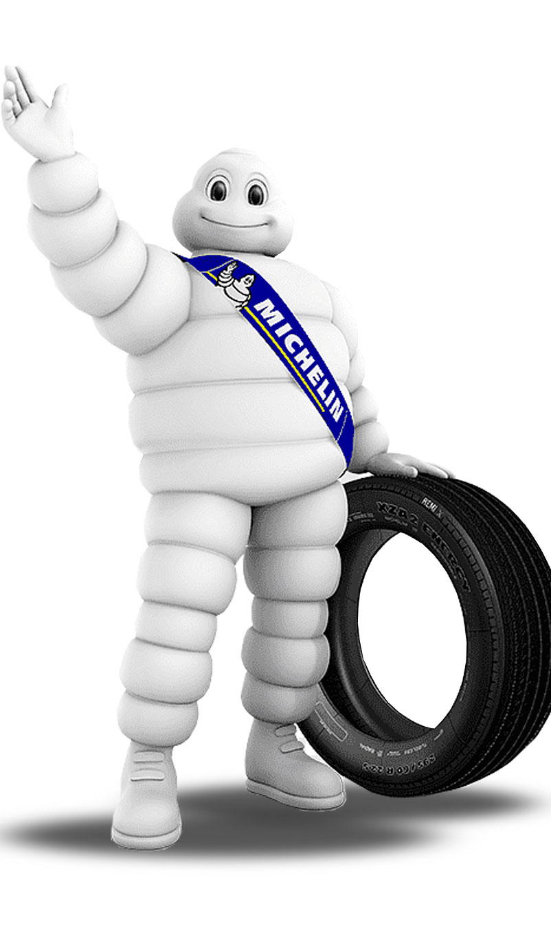 ¿Por Qué Elegir Neumáticos Michelin?